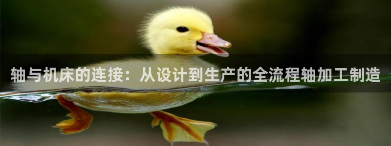 彩名堂5.0