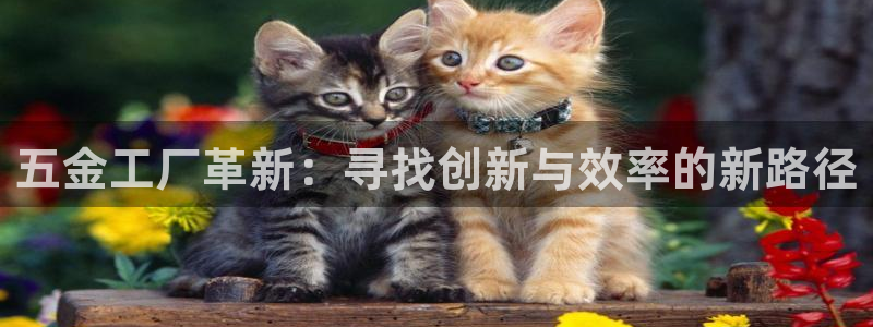 彩名堂最新计划下载地址