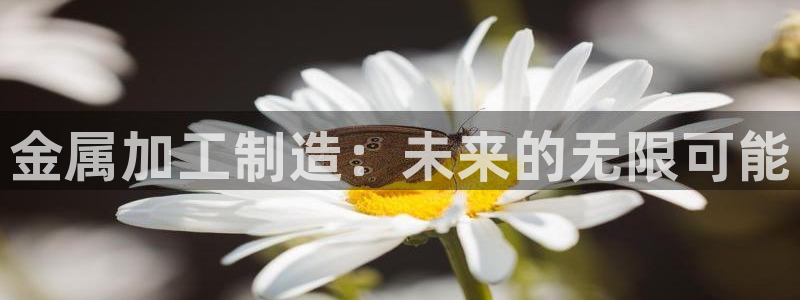 彩名堂开奖结果查询