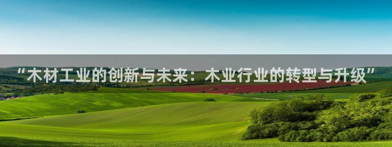 彩名堂计划最新版手机版