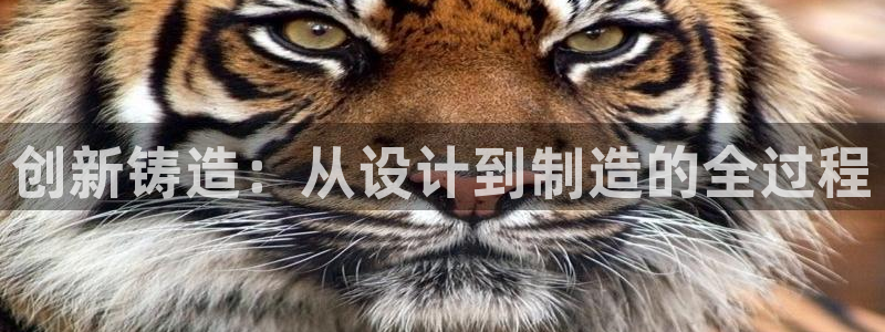 彩名堂合作655560