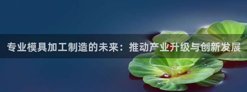 彩名堂免费计划官网老版本