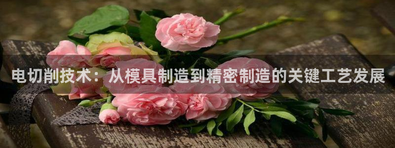 彩名堂计划怎么出的