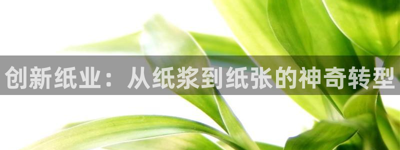 彩名堂平台