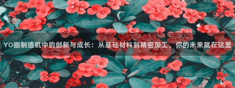 彩名堂免费计划软件下载