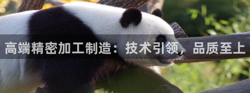 彩名堂安卓客户端官网下载