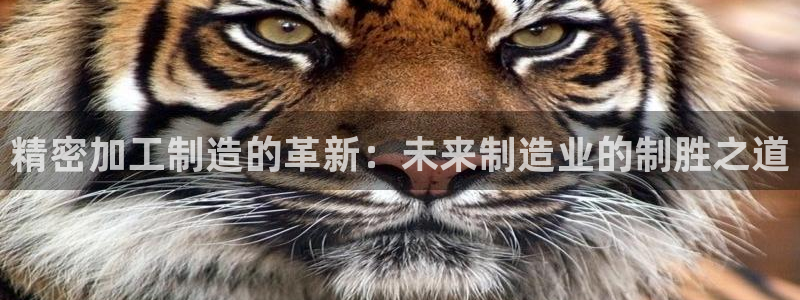 彩名堂好用还是千里马好用