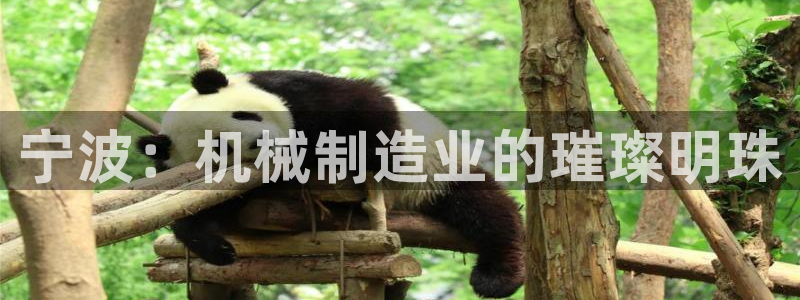 彩名堂免费计划官网5 0