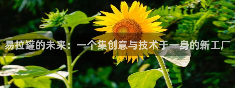 正规彩名堂官网计划