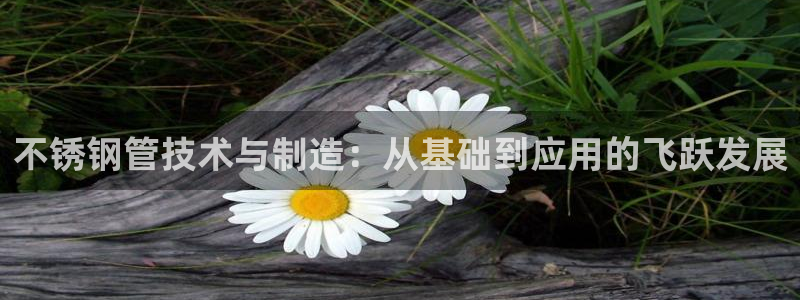 彩名堂怎么样