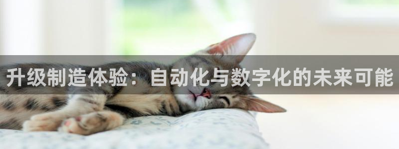 彩名堂移动客户端