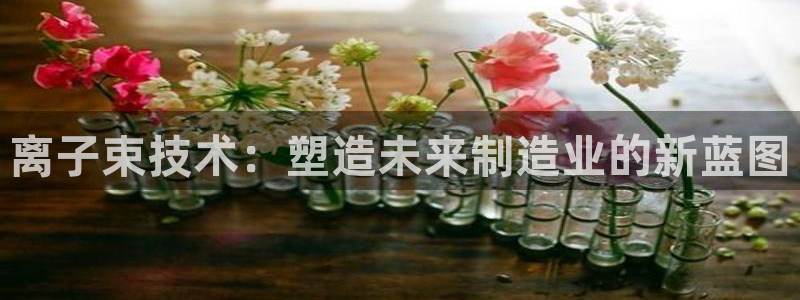 如何进入彩名堂官网更新