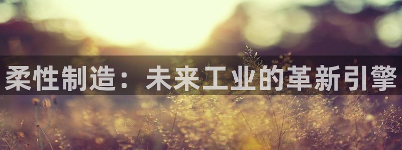 彩名堂01计划