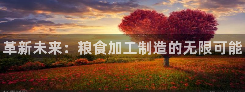 彩名堂免费计划亮点