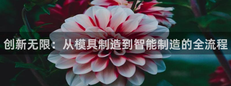 彩名堂预测免费计划app-彩名堂预测免费