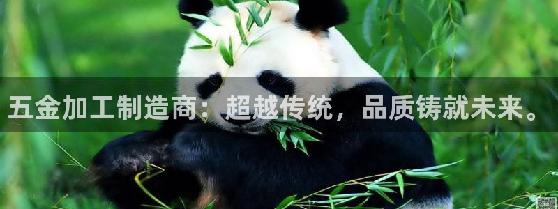 彩名堂官网网页计划