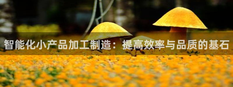 彩名堂免费计划5.0使用方法是什么