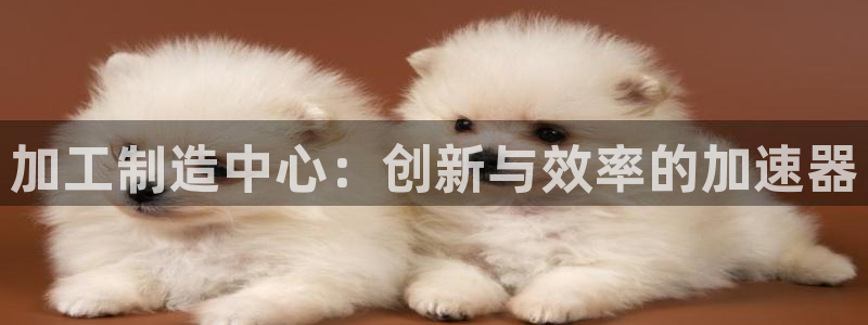 彩名堂是不是不能用了吗