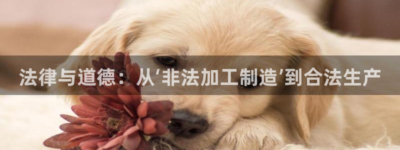 彩名堂上推荐的几个平台怎样