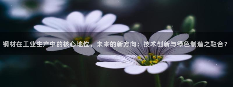 彩名堂5.0计划