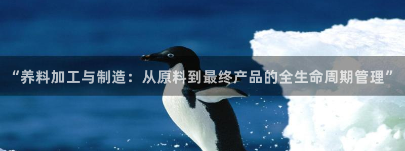 彩名堂双彩网