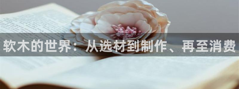 彩名堂双彩网
