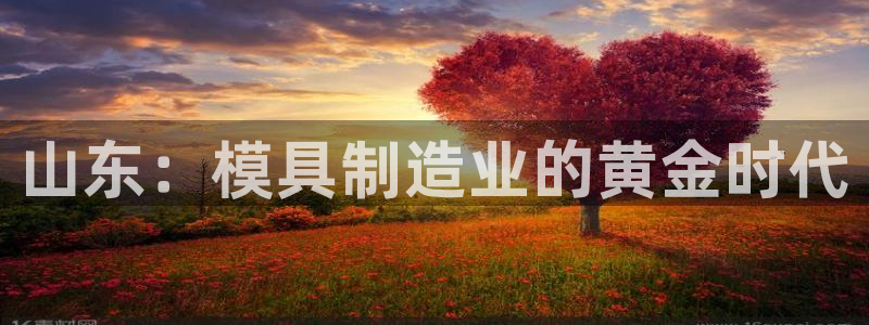 彩名堂为什么用不了了
