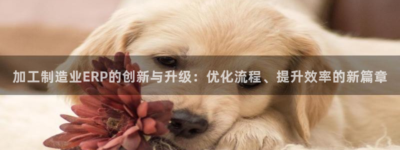 彩名堂网页