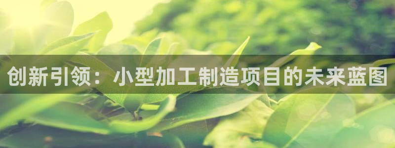 彩名堂计划软件下载
