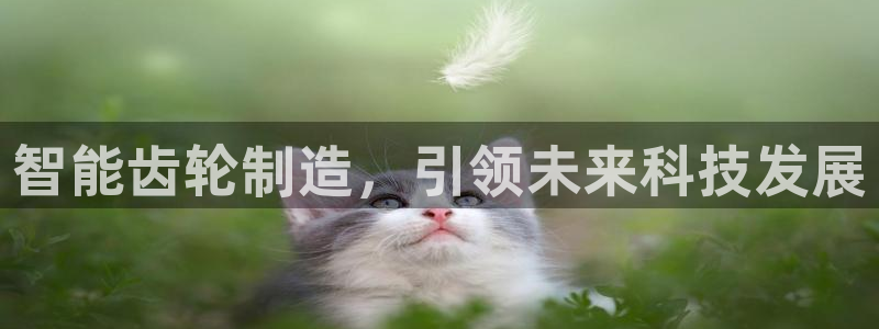 彩名堂好用还是千里马好用