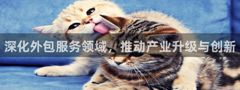 彩名堂改名稻草人了吗是真的吗
