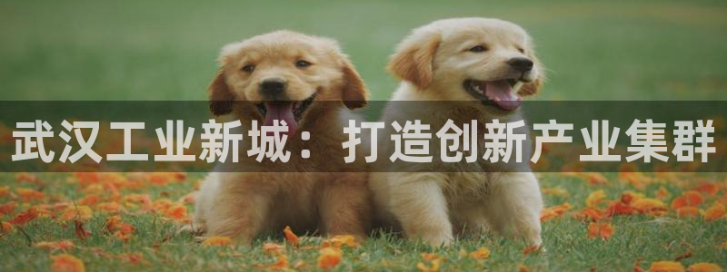 彩名堂的拼音