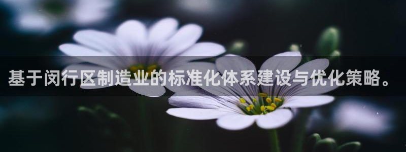 彩名堂为啥又不能用了