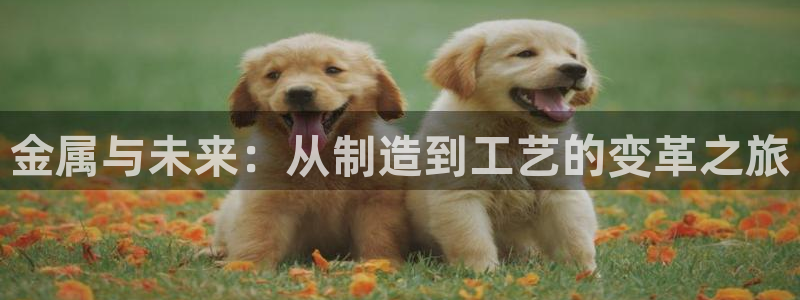 彩名堂免费计划下载