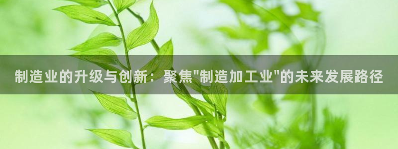 彩名堂怎么用不输