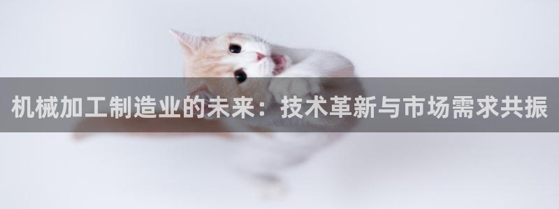 彩名堂app彩名堂客户端