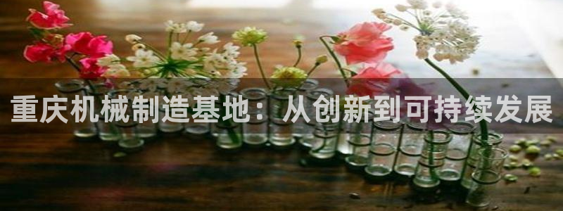 彩名堂客服电话号码