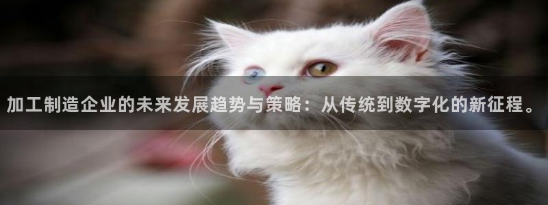 彩名堂计划怎么看
