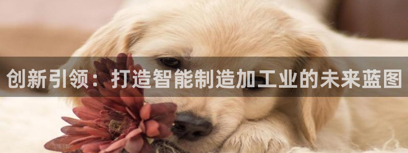 彩名堂官网计划客户端