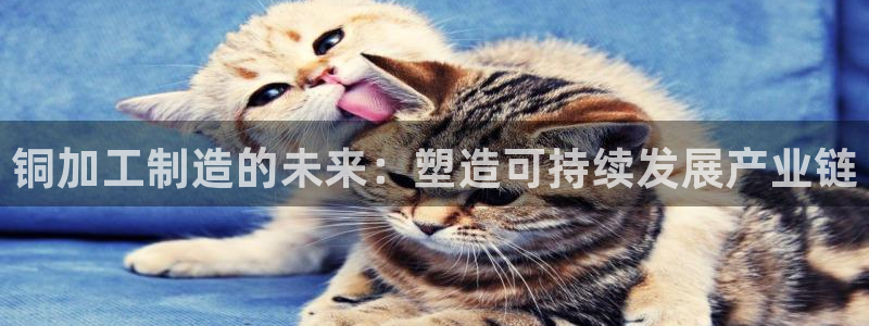 彩名堂改名稻草人了吗