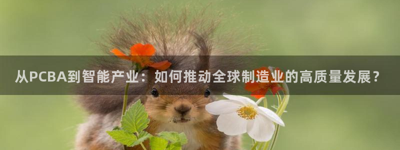 彩名堂预测软件