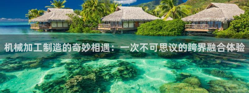 彩名堂50版本计划