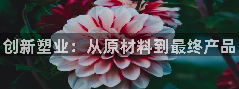 彩名堂旧版本