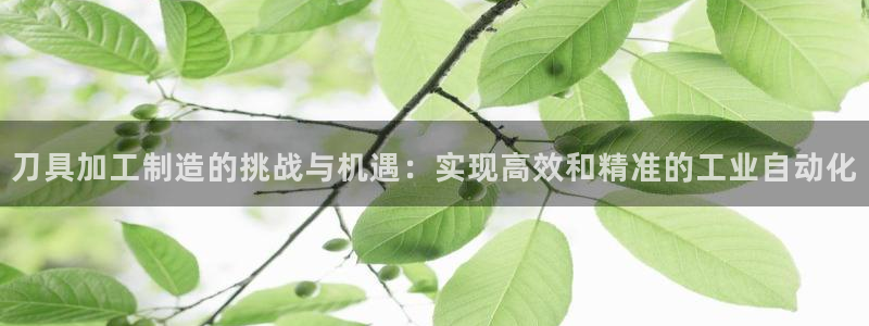 彩名堂在线下载