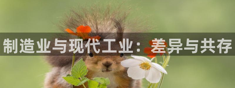 彩名堂怎么选稳定计划