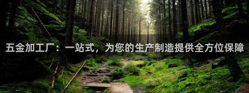 彩名堂官方平台