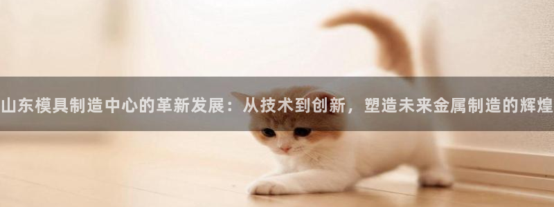 彩名堂网页