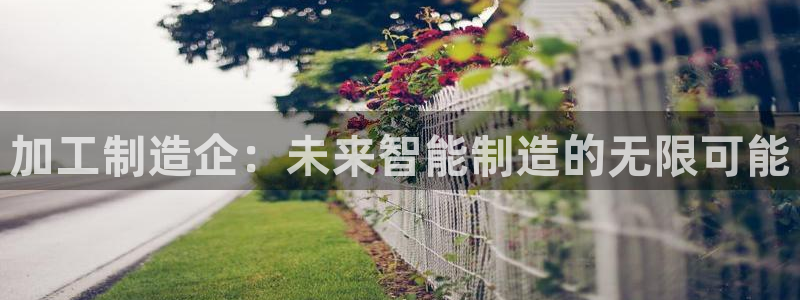 彩名堂计划真的准吗