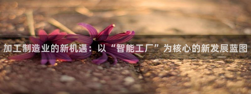 彩名堂还能用吗