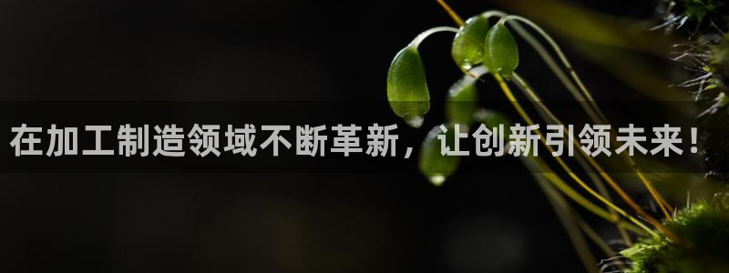 彩名堂安卓客户端官网下载安装